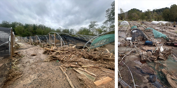 Hurricane Helene damage