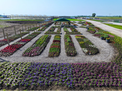 Green Legacy Trial Garden