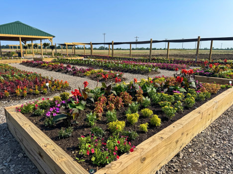 Green Legacy Trial Garden