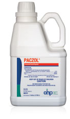 Paczol