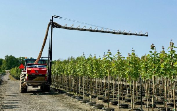 Willoway Nurseries, Avon Ohio